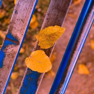 دانلود اهنگ اگه فردا بی من شروع شد اگه بودی دیدی نبودم